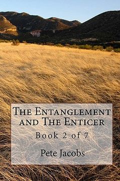 portada the entanglement and the enticer (en Inglés)