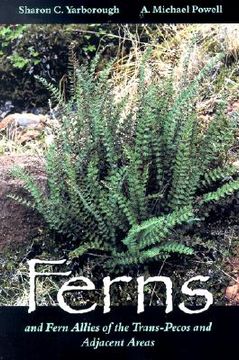 portada ferns and fern allies of the trans-pecos and adjacent areas (in English)