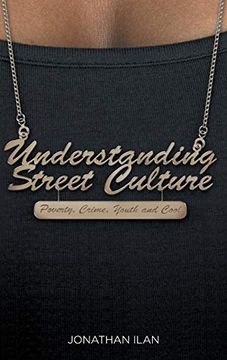 portada Understanding Street Culture: Poverty, Crime, Youth and Cool (in English)