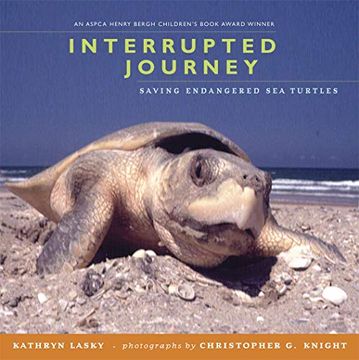 portada Interrupted Journey: Saving Endangered sea Turtles (in English)