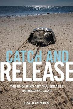 portada Catch and Release: The Enduring Yet Vulnerable Horseshoe Crab