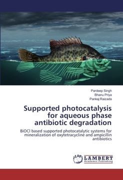 portada Supported photocatalysis for aqueous phase antibiotic degradation: BiOCl based supported photocatalytic systems for mineralization of oxytetracycline and ampicillin antibiotics