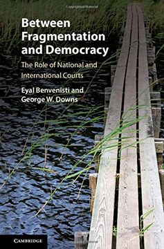 portada Between Fragmentation and Democracy: The Role of National and International Courts