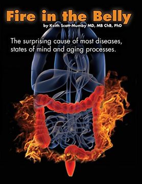 portada Fire in the Belly: The Surprising Cause of Most Diseases, States of Mind and Aging Processes (en Inglés)