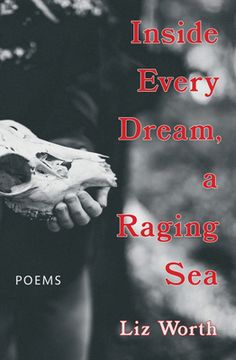 portada Inside Every Dream, a Raging Sea (en Inglés)