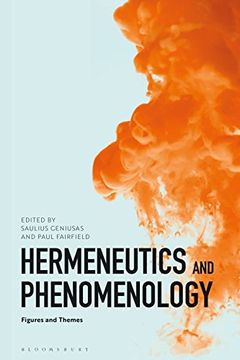 portada Hermeneutics and Phenomenology: Figures and Themes (en Inglés)