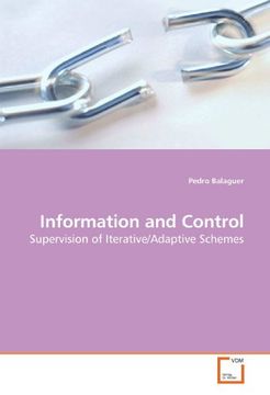 portada Information and Control: Supervision of Iterative/Adaptive Schemes