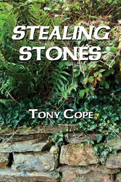 portada Stealing Stones (en Inglés)