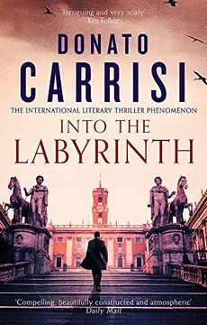 portada Into the Labyrinth (in English)