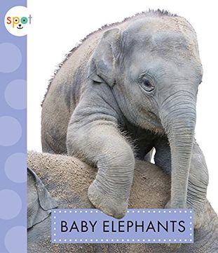 portada Baby Elephants (Spot Baby Animals)