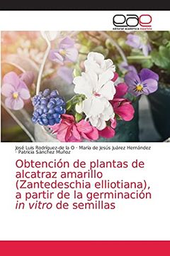 portada Obtención de Plantas de Alcatraz Amarillo (Zantedeschia Elliotiana), a Partir de la Germinación in Vitro de Semillas (in Spanish)