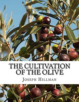 portada The Cultivation of the Olive: A Short Treatise With Special Reference to Fertilization (en Inglés)