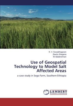 portada Use of Geospatial Technology to Model Salt Affected Areas: a case study in Sego Farm, Southern Ethiopia