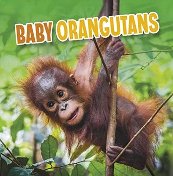portada Baby Orangutans (Baby Animals) (in English)