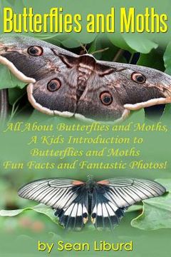 portada Butterflies and Moths: All about Butterflies and Moths, a Kids Introduction to Butterflies and Moths-Fun Facts and Fantastic Photos! (en Inglés)