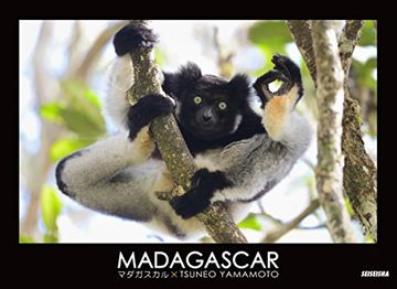 portada Madagascar (en Inglés)