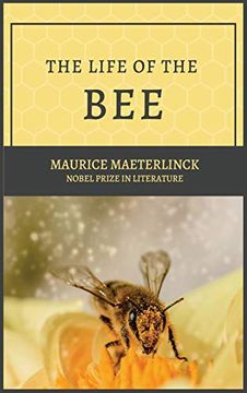 portada The Life of the bee (en Inglés)