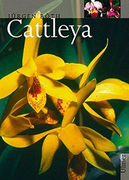 portada Cattleya (in German)