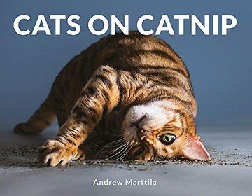 portada Cats on Catnip (Hardback) 