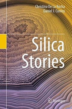 portada Silica Stories