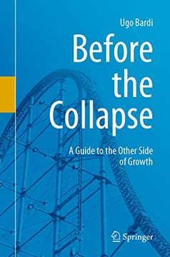 portada Before the Collapse: A Guide to the Other Side of Growth (in English)