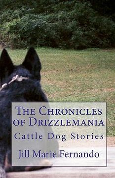 portada the chronicles of drizzlemania (en Inglés)