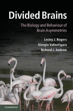 portada Divided Brains: The Biology and Behaviour of Brain Asymmetries (en Inglés)