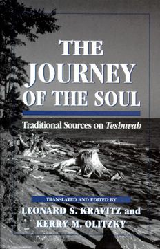 portada journey of the soul (en Inglés)