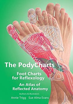 portada The Podycharts Foot Charts for Reflexology: An Atlas of Reflected Anatomy (1) (en Inglés)