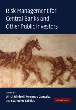 portada Risk Management for Central Banks and Other Public Investors (in English)