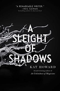 portada A Sleight of Shadows (2) (Unseen World, The) (in English)