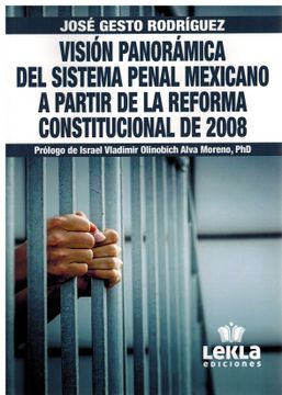 portada Vision Panoramica del Sistema Penal Mexicano a Partir de la Reforma Constitucional de 2008