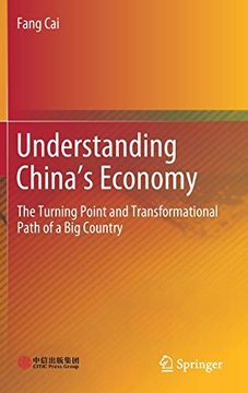 portada Understanding China's Economy: The Turning Point and Transformational Path of a big Country (Hardback) (en Inglés)