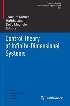 portada Control Theory of Infinite-Dimensional Systems (en Inglés)