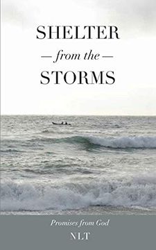 portada Shelter From the Storms; Promises From god (in English)