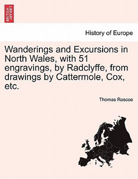 portada wanderings and excursions in north wales, with 51 engravings, by radclyffe, from drawings by cattermole, cox, etc. (en Inglés)