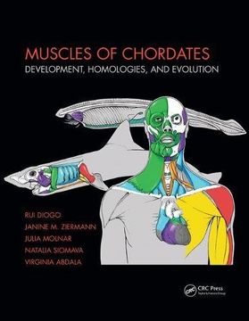 portada Muscles of Chordates: Development, Homologies, and Evolution (in English)