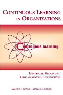 portada continuous learning in organizations: individual, group, and organizational perspectives (en Inglés)