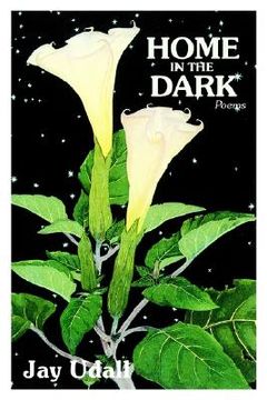 portada home in the dark: poems (en Inglés)