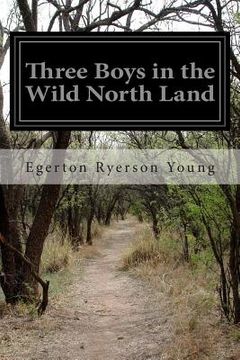 portada Three Boys in the Wild North Land (en Inglés)