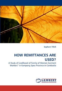portada how remittances are used? (en Inglés)