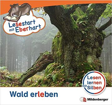 portada Lesestart mit Eberhart - Wald Erleben: Lesen Lernen mit Silben - Themenhefte für Erstleser - Lesestufe 2 (en Alemán)