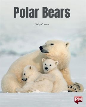 portada Polar Bears