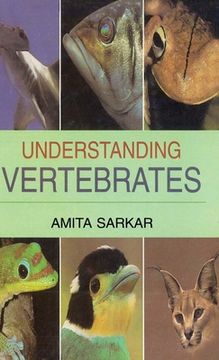 portada Understanding Vertebrates (en Inglés)
