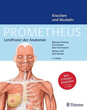 portada Prometheus Lernposter der Anatomie, Knochen und Muskeln (en Alemán)