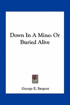 portada down in a mine: or buried alive (en Inglés)