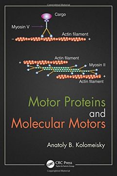 portada Motor Proteins and Molecular Motors (en Inglés)