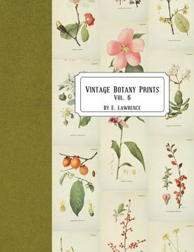 portada Vintage Botany Prints: Vol. 6 (en Inglés)