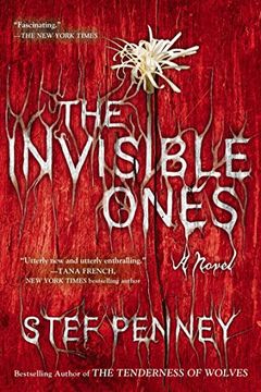 portada The Invisible Ones (in English)
