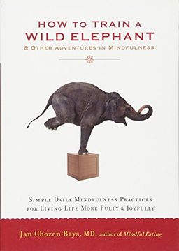 portada How to Train a Wild Elephant: And Other Adventures in Mindfulness 